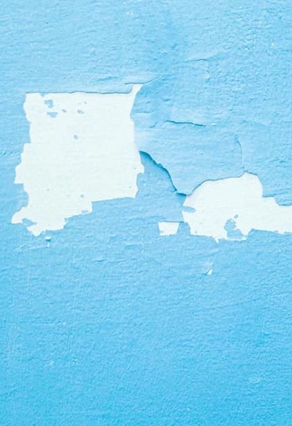 PINTURA: Cul es la mejor pintura para cada estancia de tu hogar?